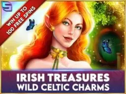 Irish Treasures Wild Celtic Charms